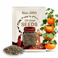Organic Small Sugar Pumpkin Seeds, 15+ Seeds, Organic Vegetable Seeds, Heirloom, Non GMO, Pumpkin Seeds, USA Grown