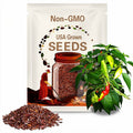 10x Trinidad PIMENTO Pepper Seeds, Organically Grown plus FREE Seed Gift
