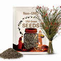 Ocotillo 10 seeds, Fouquieria splendens, coachwhip, candlewood, slimwood, desert coral, Jacob's staff, Jacob cactus, vine cactus, Cactus