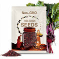 Detroit Dark Red Beet, Early Dark Red SEEDS | Turnip | Non-GMO, Organic | Treevales