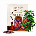Buena Mulata Pepper Seeds: Heirloom, Non-GMO, Rare Colorful Hot Pepper