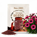 Ruby Star Echinacea Seeds, Coneflower, Medicinal Plants, Flowers, Herbs EC0520