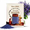 100 Blue Spires Vervain Seeds*Verbena hastata*1st Yr Flowering Perennial*Dark Blue Flowers*Low Maintenance*Blue Vervain Plant Seeds*FLAT SH