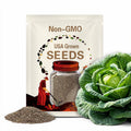Chinese Cabbage Seeds - Organic, Heirloom, Open Pollinated, Non GMO - Grow Indoors, Outdoors, In Pots, Grow Beds, Hydroponics & Aquaponics