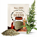 Common Mullein Seeds - Medicinal Herb Seeds, Heirloom Seeds, Verbascum Thapsus, Herbal Remedy, Herbal Tea, Non-GMO