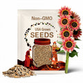 Strawberry Blonde Sunflower Seeds – Heirloom, Medicinal & Culinary Plant, Tricolor Blooms, Garden Favorite, Easy to Grow | 25 Seeds