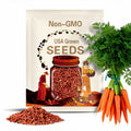 Scarlet Nantes Carrot Seeds – Heirloom Classic Orange Carrot, Open Pollinated & Non‑GMO, Sweet Garden Favorite | 250 Seeds