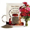 Cosmos Dazzler Seeds 100 Ct Red Flower USA ANNUAL Butterflies