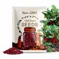 Ruby Red Swiss Chard Seeds 50 Ct Vegetable Garden Heirloom NON-GMO
