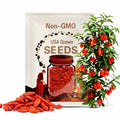 Goji Berry (Chinese Wolfberry) Seeds - Heirloom Seeds, Traditional Medicinal Plant, Superfood, Lycium Chinense, Open Pollinated, Non-GMO