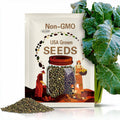 Ethiopian kale seeds