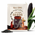 Black organic sticky corn seeds, 黑色有机糯玉米种子，30 seeds
