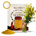 Yellow Mustard Seeds - Heirloom Seeds, Cover Crop, Medicinal Herb, Culinary Herb, Microgreens, Edible Flowers, Sinapis Alba, Non-GMO