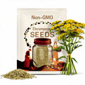 Elecampane Seeds - Heirloom Seeds, Ancient Medicinal Herb, Daisy-like Petals, Horseheal, Elfdock, Herbal Remedy, Inula Helenium, OP, Non-GMO