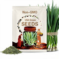 Green Bunching Onion Scallion Spring Onions Heirloom Vegetable Seeds