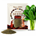 Spinach, Bloomsdale | 150 Seeds | Heirloom | Open Pollinated | Non-GMO | Spinacia oleracea