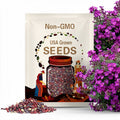 Violet-Red Rock Cress Seeds ROYAL CASCADE Aubrieta Flower Seeds*Rockcress*Aubrieta cultorum*Rock Alpine Gardens*Evergreen Groundcover*