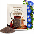 Morning Glory Seeds HEAVENLY BLUE Vine Seeds, Ipomoea tricolor, Annual Plants, Blue/Turquoise 3-4 in/7-10 cm Flowers*Arbor/Lattice
