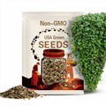 20 Seeds Emerald Falls Dichondra Seeds for Planting - Stunning Weeping