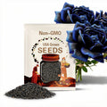 USA-Seller Midnight Blue Rose Black and Blue Petals 50Pcs seeds (#2756)