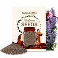 PURPLE CONEFLOWER Seeds *FREE Shipping!* Fresh & Organic Echinacea purpurea seeds | purple outdoor flower seeds bulk | Purple Echinacea
