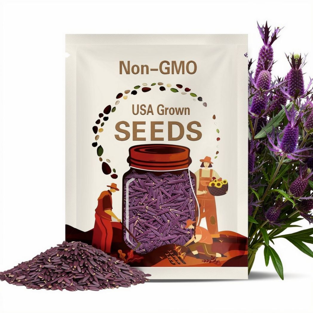 Purple Sheen Sea Holly Seeds *FREE Shipping!* Fresh & Organic Eryngium leavenworthii seeds | purple outdoor flower seeds bulk