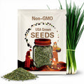 Chive Seeds: 50 Herb Seeds, Edible Purple Flowers