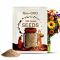 10 seeds organic sweet Pea Prince of  Orange (Lathyrus odoratus)