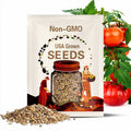 Giant Belgium - Huge Beefsteak! - +25 Fresh Seeds