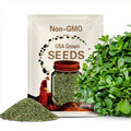 Purslane Herb Seeds - Heirloom Seeds, Edible Ground Cover, Medicinal & Culinary Herb, Succulent, Fresh Salad Green, Open Pollinated, Non-GMO