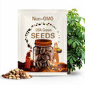 Tropical Almond Seeds,Terminalia Catappa ( 10 Seeds )