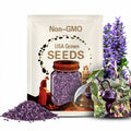 Purple UFO Pepper Seeds