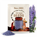 BLUE SAGE Seeds *Free Shipping!* Fresh & Organic Salvia farinacea Seeds, Purple Outdoor Flower Seeds Bulk | Mealy Sage Herb