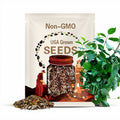 River Leaf Vine Seeds, hạt lá giang - (5 PCS - high germination rate 85%)