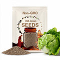 Crisp Head Lettuce Seeds