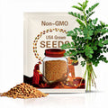 Fenugreek - Seeds - Amazingly Versatile Culinary & Healing Herb - Heirloom - GMO Free (Trigonella foenum-graecum)