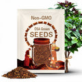 10,500 Cinnamon Basil Seeds | Heirloom, Non-GMO, Rare Herb Seed Packet, Container Gardening, Herb Garden, Basil Plant Seed, Ocimum basilicum