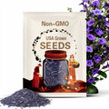 Alderman Blue Petunia Seeds – Heirloom Flower, Stunning Cascading Blue Blooms, Easy to Grow, Great for Baskets | 100 Seeds