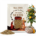 Galeux d'Eysines Pumpkin Seeds: Organic Heirloom Vegetable, Container Gardening